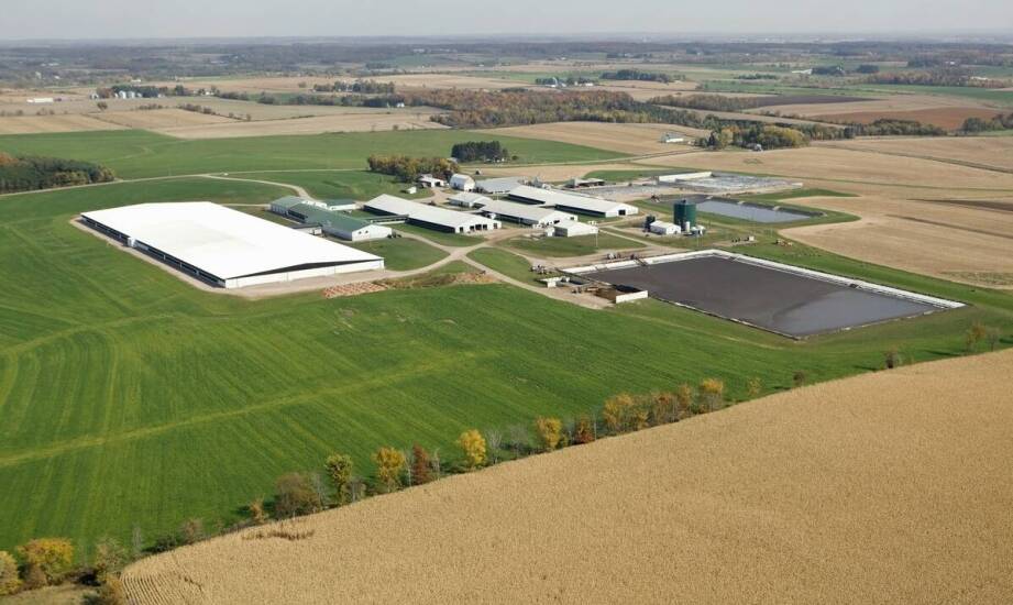 Nowoczesne rolnicze budownictwo – jak tworzyć efektywne inwentarskie obiekty?