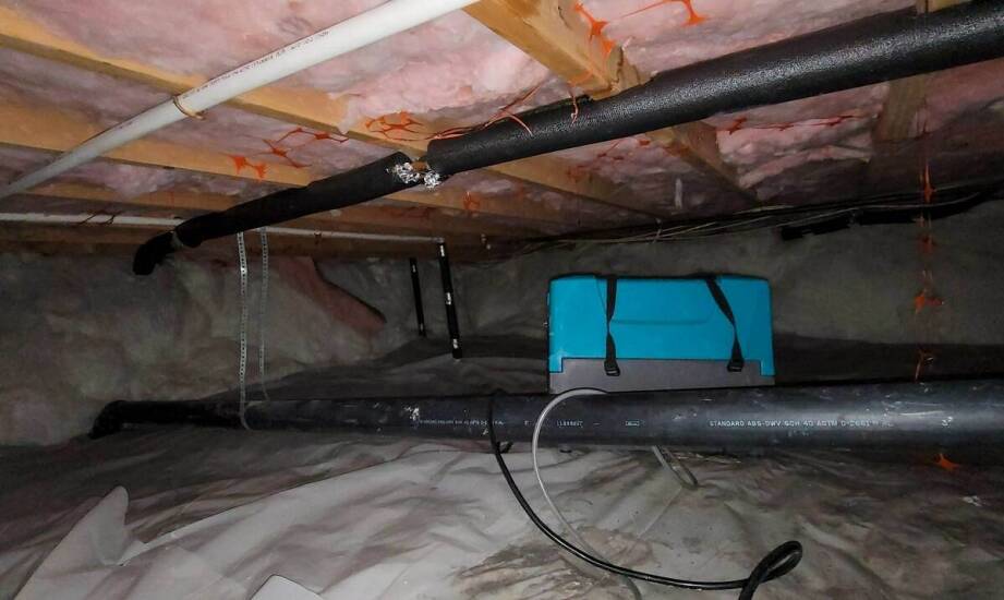 Jakie korzyści przynosi ozonowanie w walce z pleśnią i grzybami?