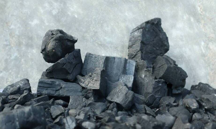 Różnorodność opału dostępna w składzie opału – co oferuje w Przemęcie?