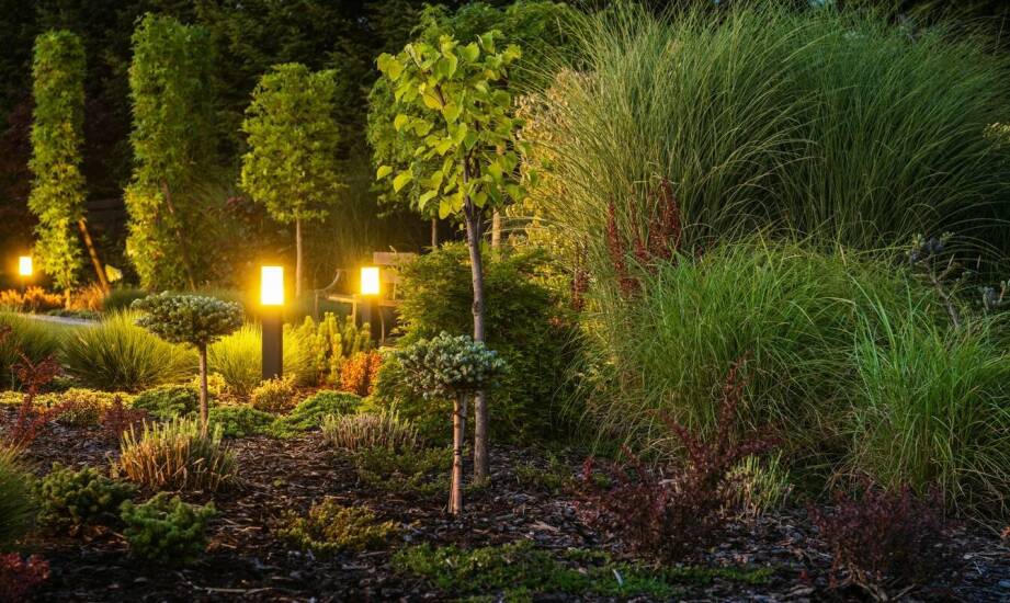 Jakie trendy dominują w systemach oświetleniowych dla publicznych przestrzeni?