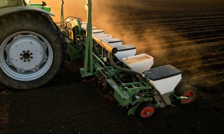 Efektywność kosztowa inwestycji w warzywną sadzarkę – analiza korzyści