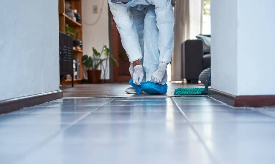 Sprzątanie po zgonach: jak przebiega proces dezynfekcji?