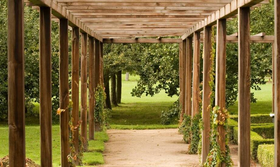 Różnorodność projektów ogrodowych altan od producenta – jakie są możliwości?