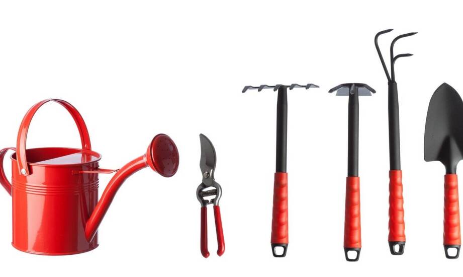 Jakie są najważniejsze cechy dobrej sadzarki do warzyw?