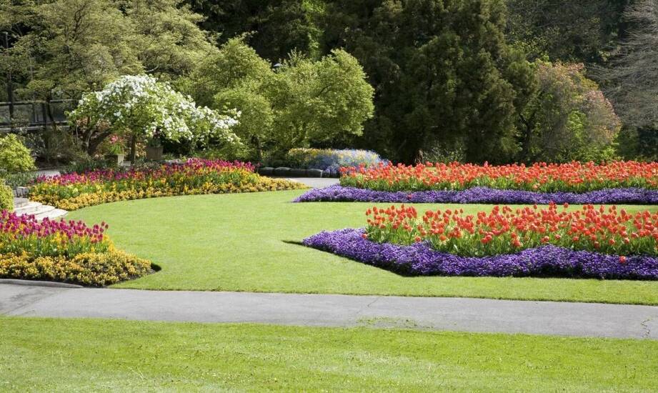 Wpływ profesjonalnych usług porządkowych na estetykę działki