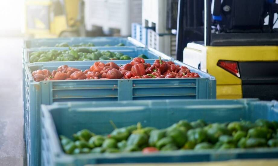 Znaczenie terminowych dostaw owoców i warzyw przez hurtownie dla sektora HoReCa