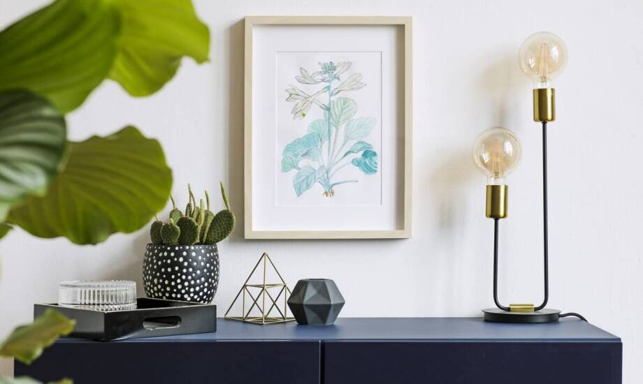 Strelicja augusta – jak wprowadzić egzotykę do wnętrza?