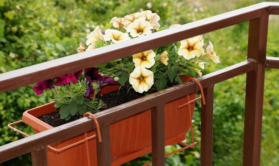 Skrzynka balkonowa 70 cm - wytrzymałość i design na każdą porę roku.