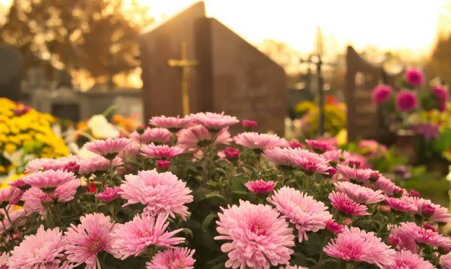 Rola profesjonalnej obsługi w przygotowaniu miejsca do spoczynku