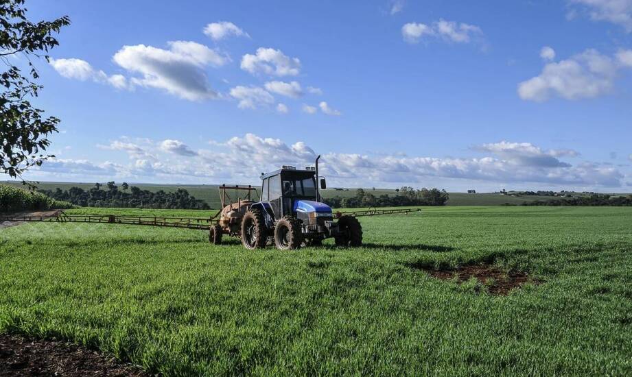 Jak dolistne nawozy wpływają na wzrost plonów w trudnych warunkach?