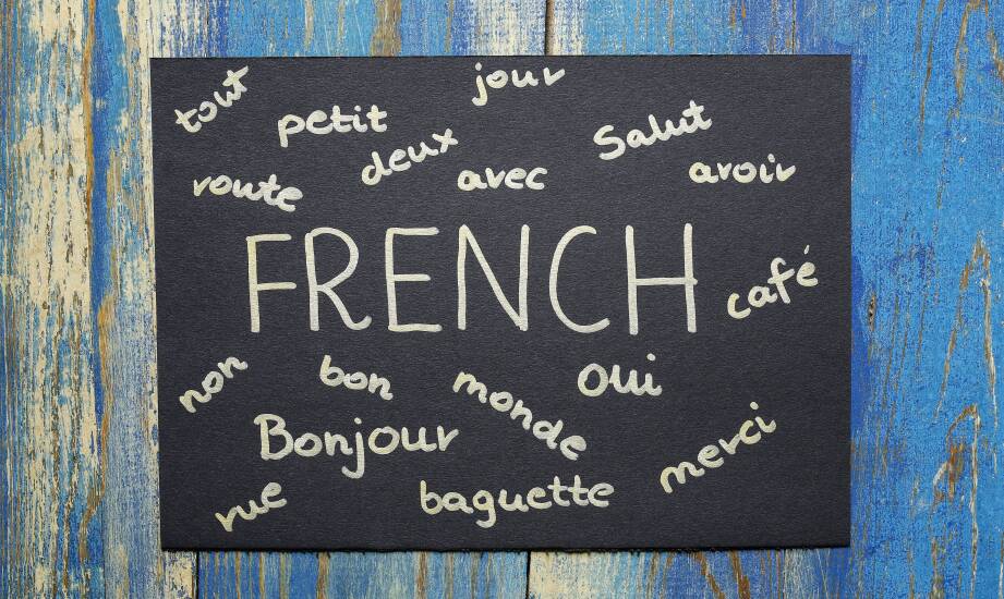 Jakie znaczenie mają quizy i testy w procesie nauki online francuskiego?