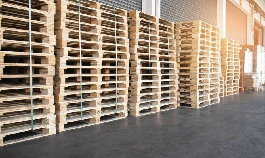 Skup palet: jakie są różnice między recyklingiem a utylizacją?