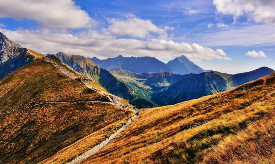 Jak transport w Krynicy-Zdroju obsługuje transfery na lotnisko?