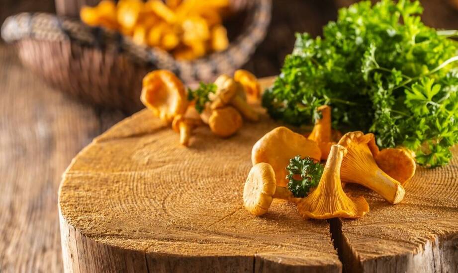 Suszone grzyby jako doskonały dodatek do zup i sosów