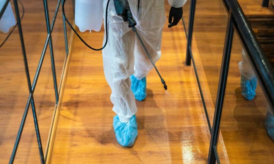 Jakie są etapy procesu dezynsekcji zgodne z normami AIB?