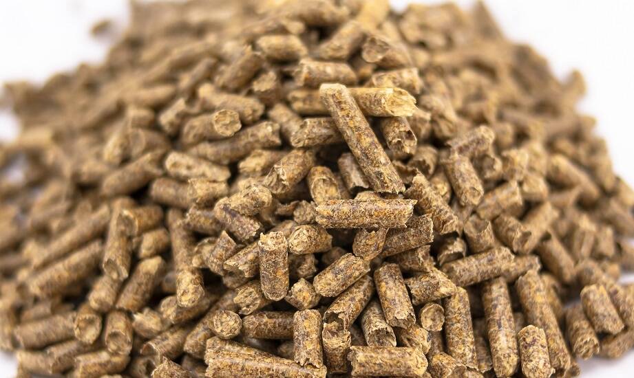 Wpływ jakości pelletu A1 na cieplny komfort w domu