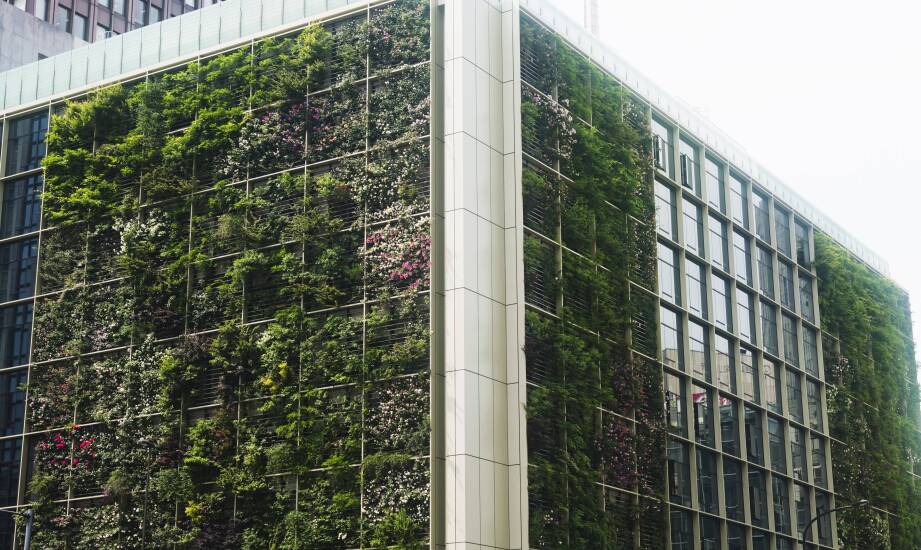Czy żywe ściany poprawią klimat wokół budynku?