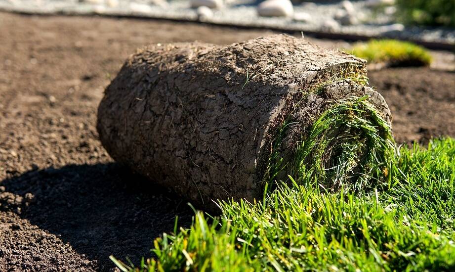 Jakie korzyści przynosi trawa z rolki w kontekście ochrony środowiska?