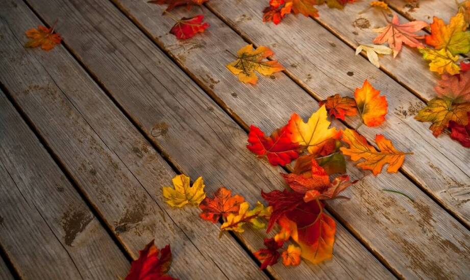 Poplonowe nasiona jako narzędzie adaptacji rolnictwa do zmieniającego się klimatu