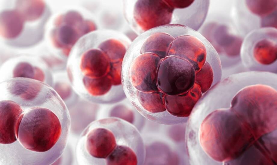 Jak komórki macierzyste pomagają w walce ze oznakami starzenia?