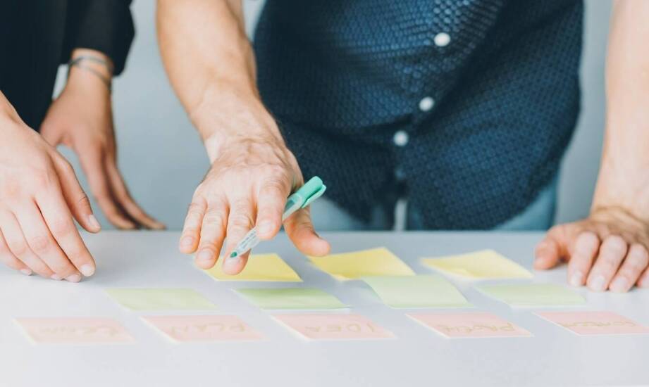 Proces planowania projektów zastępczych nasadzeń drzew: kluczowe kroki