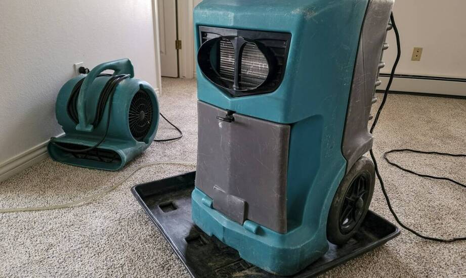 Jak szybkie schnięcie wpływa na wybór metody czyszczenia wykładzin?