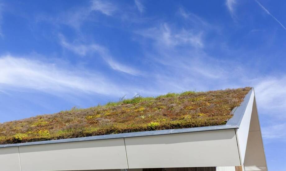 Mycie dachu: wpływ na poprawę jakości powietrza wewnątrz budynku