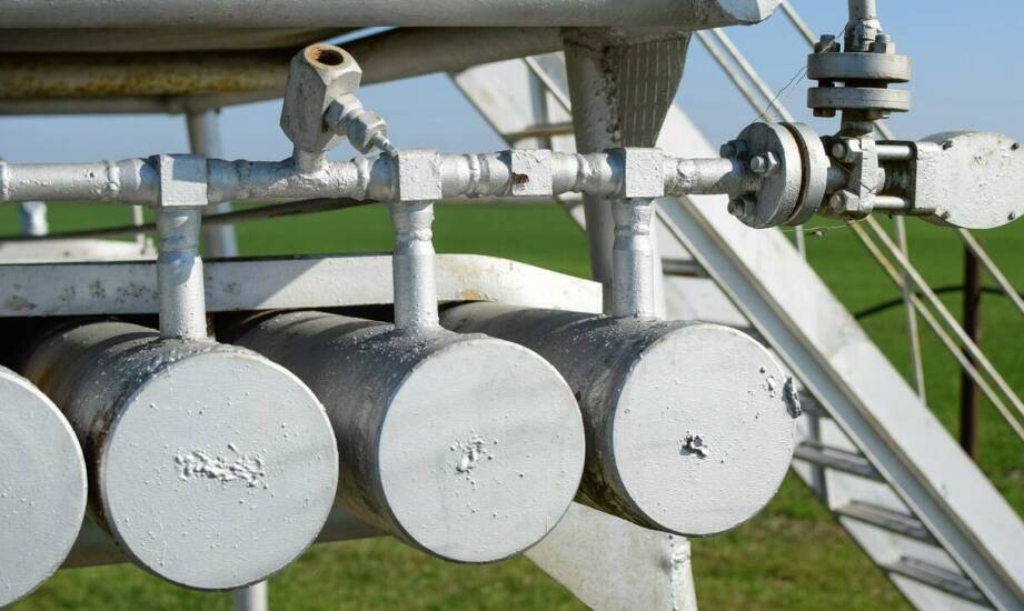 Jak nowoczesne systemy nawodnieniowe wpływają na kondycję roślin?