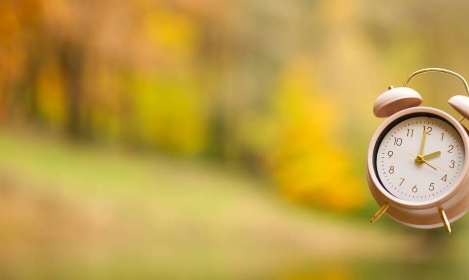 Najlepsze karmniki dla różnych ptaków gatunków