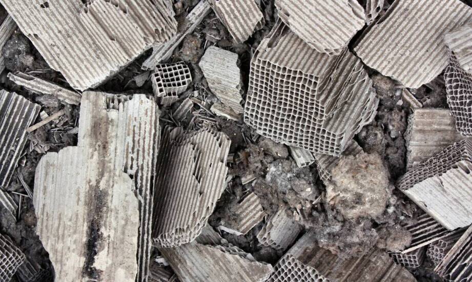 Jak skup katalizatorów wpływa na recykling materiałów?