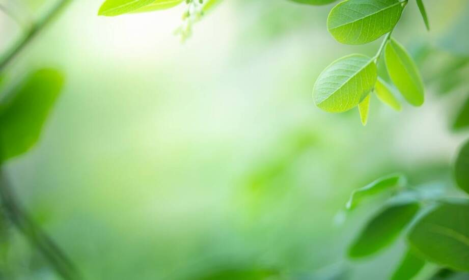 Dlaczego papierowe reklamówki są lepszym wyborem niż plastikowe?