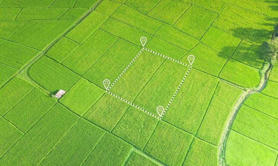 Wytyczenie granic działki a prawna ochrona właściciela nieruchomości