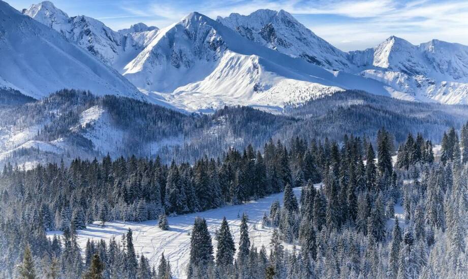 Zimowe konne obozy w Poznaniu: Co warto wiedzieć przed zapisaniem się?