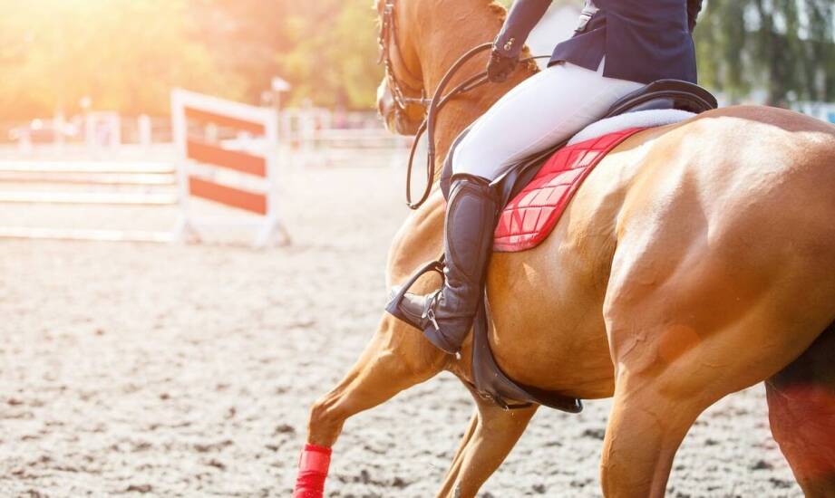 Nauka jazdy konnej w Poznaniu: Jakie korzyści przynosi regularny trening?