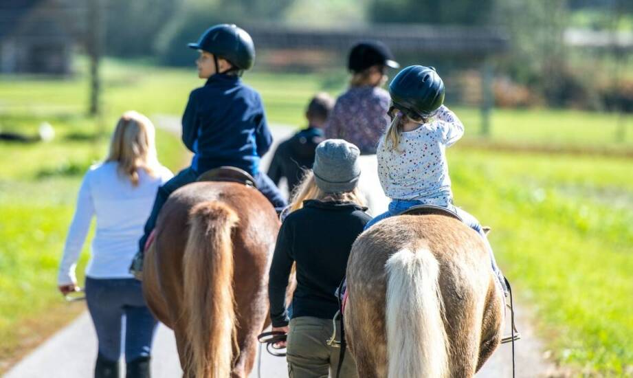 Obozy jeździeckie dla dorosłych: Relaks i nauka w stajniach w Poznaniu