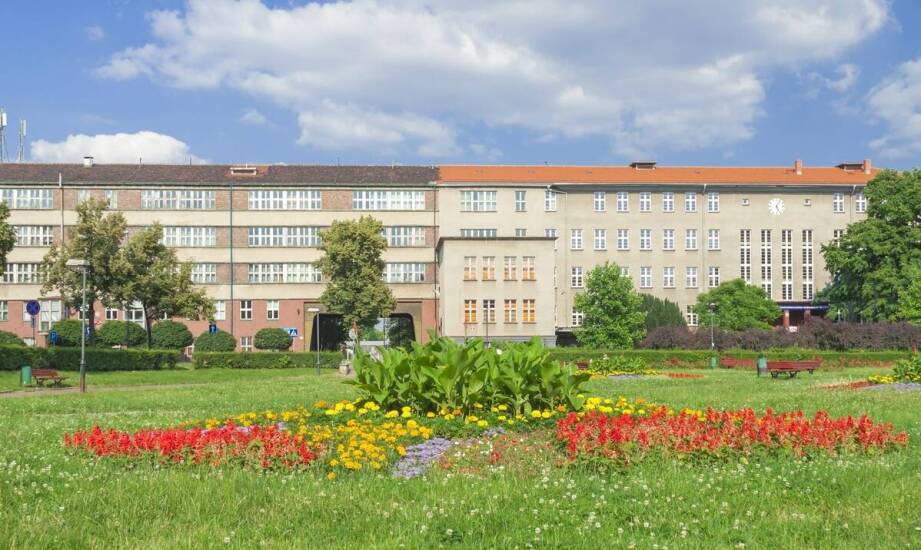 Zaufanie i doświadczenie: atuty agencji ubezpieczeniowej w Międzyborzu