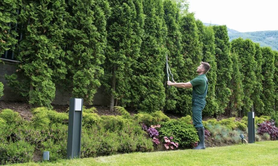 Znaczenie wyceny nieruchomości dla celów ubezpieczeniowych – rola rzeczoznawcy