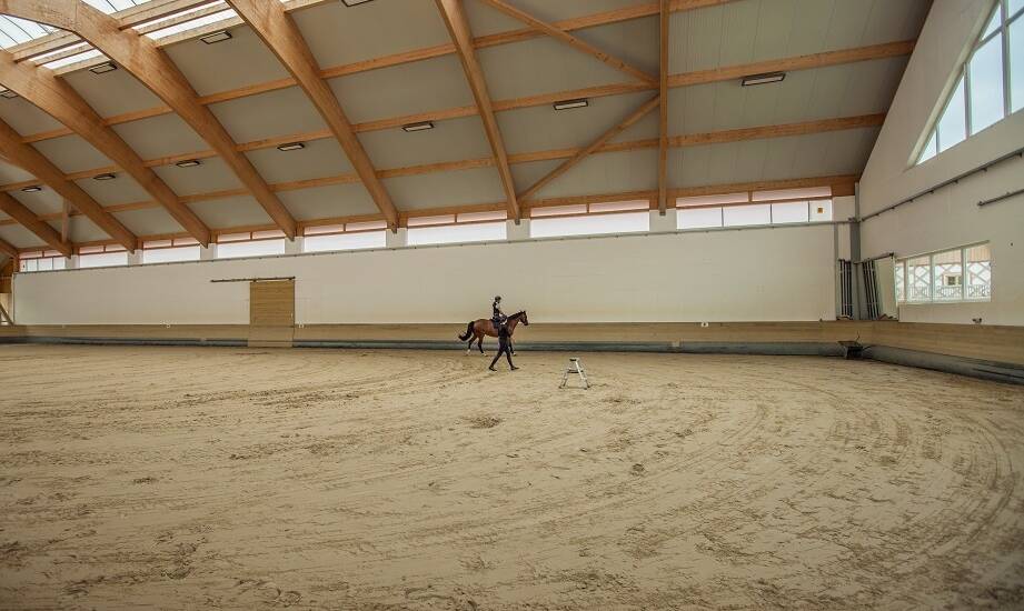 Znaczenie regularnej konserwacji piaskowego podłoża na ujeżdżalniach