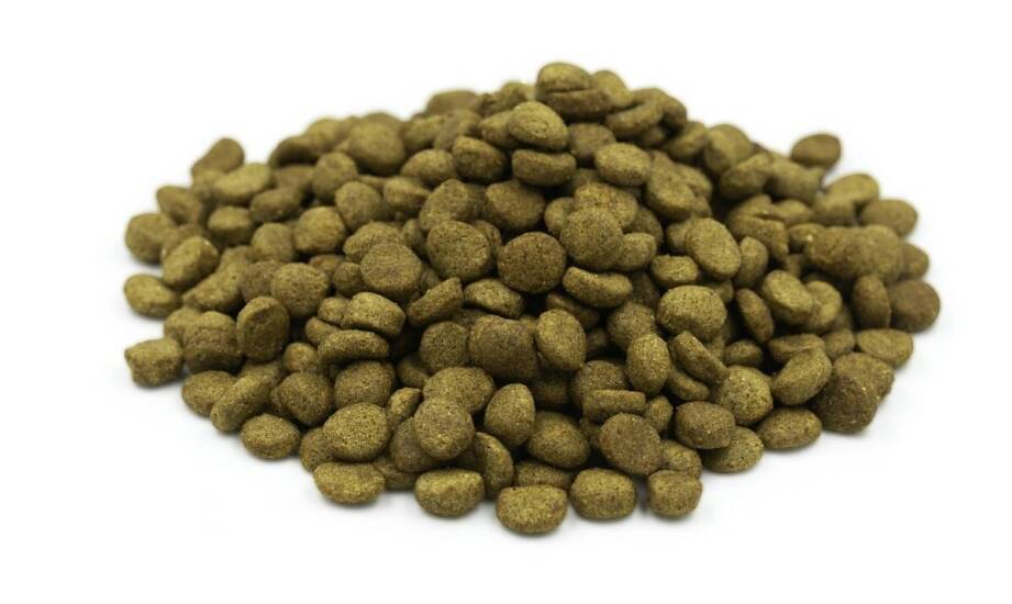 Jakie składniki zawiera Puppy Orijen i dlaczego są ważne?