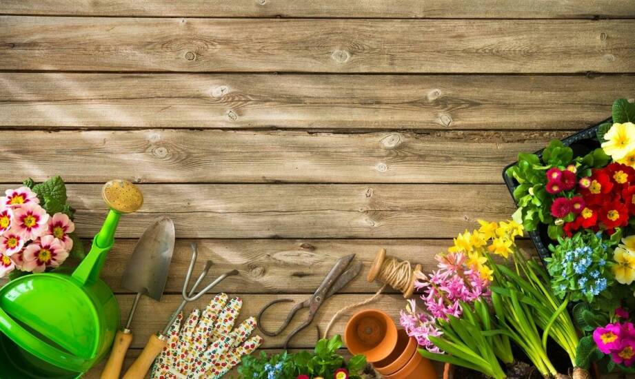 Jakie ogrodnicze narzędzia pomogą w aranżacji skalniaków?