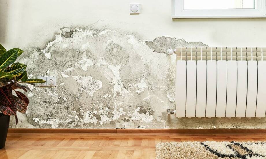 Jak skutecznie diagnozować potrzebę osuszania fundamentów?