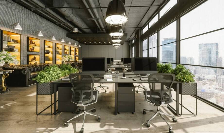 Czy wertykalny ogród wyciszy biuro typu open space?