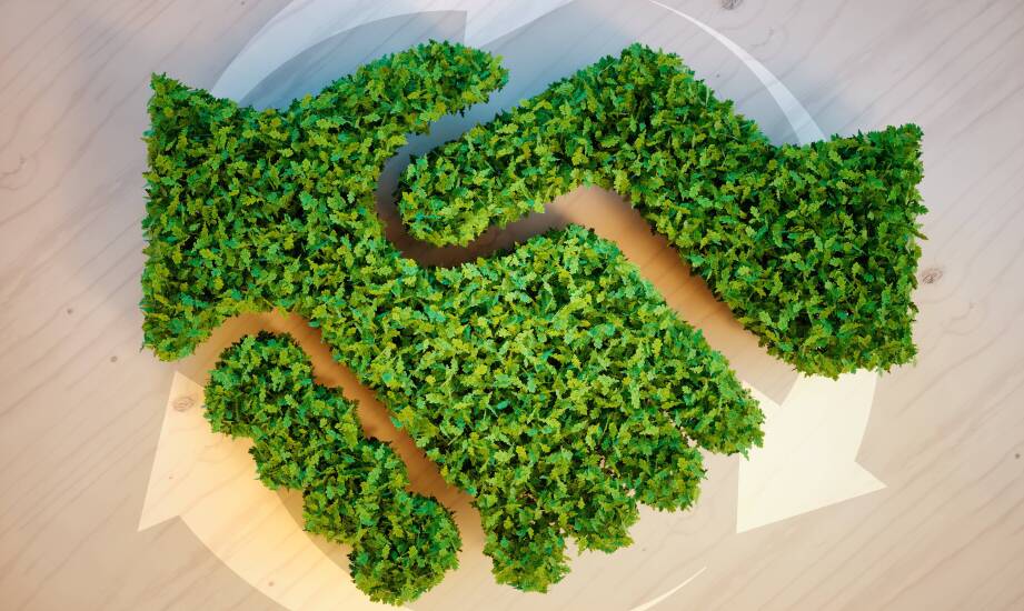 Jak ekologiczny branding buduje zaufanie wśród klientów?