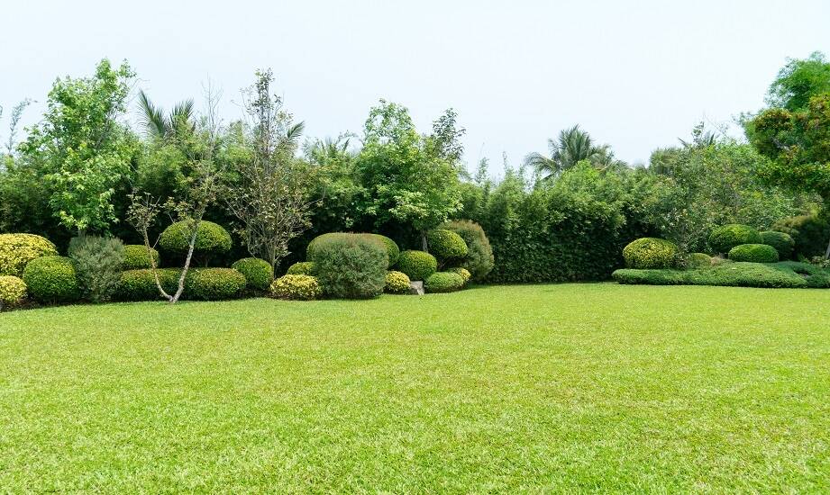 Projektowanie zieleni terenów: jak dobór materiałów wpływa na końcowy efekt?