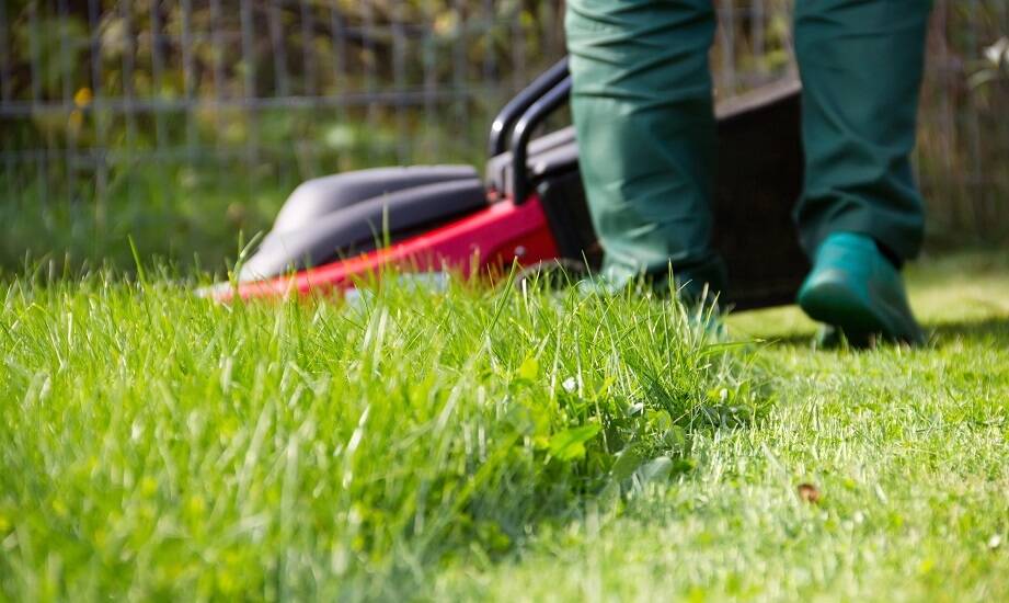 Kosiarki Vari w kontekście pielęgnacji ekonomicznej trawnika