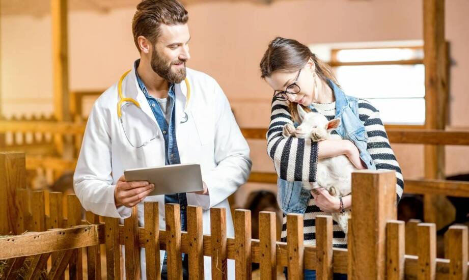 Wykorzystanie klinicznych badań do optymalizacji leczenia schorzeń bydła