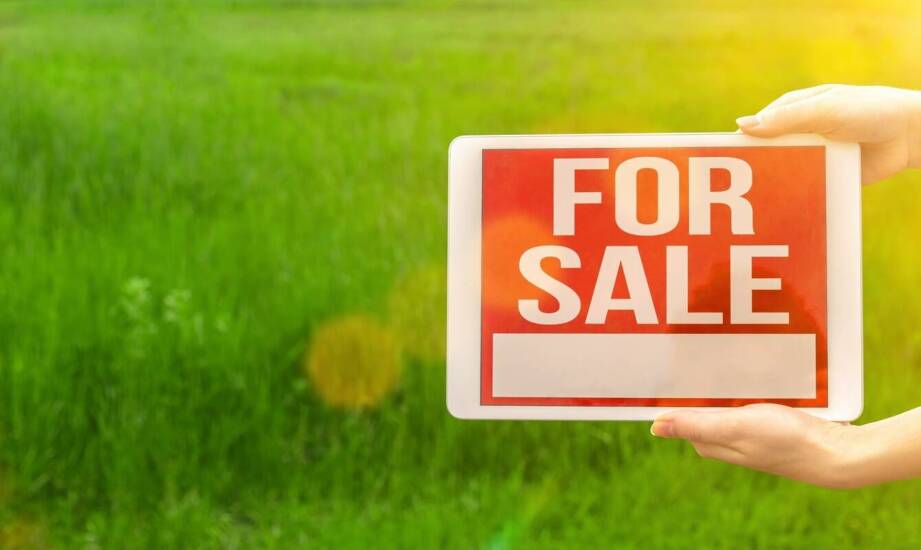 Działki na sprzedaż: jak znaleźć idealną lokalizację w górach?