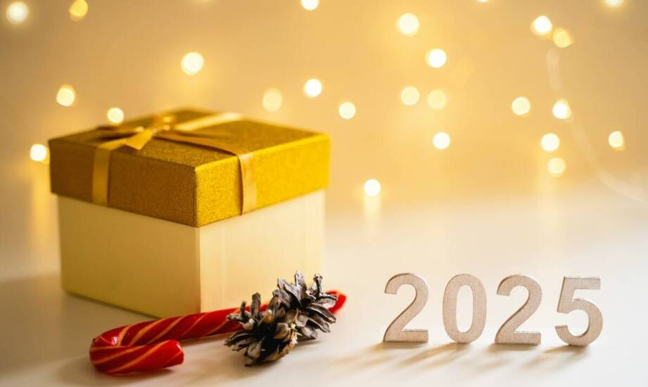 Petardy w ofercie hurtowni – co warto wiedzieć?