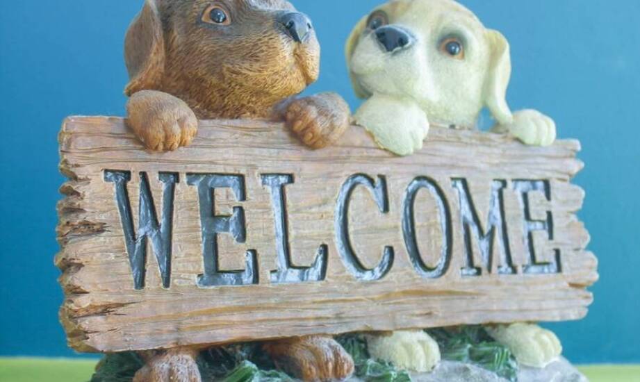 Korzyści z indywidualnego podejścia do każdego psa w hotelu dla psów