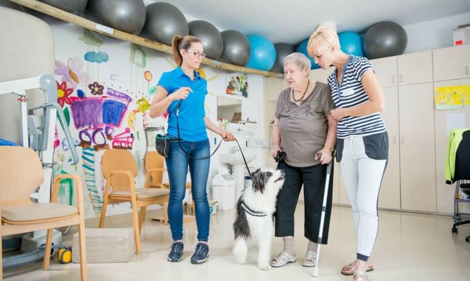 Rola opiekuna w procesie socjalizacji szczeniaka w przedszkolu dla psów